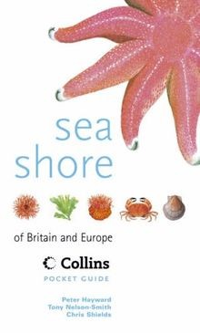 Collins Pocket Guide - Sea Shore of Britain and Europe v... | Buch | Zustand gut