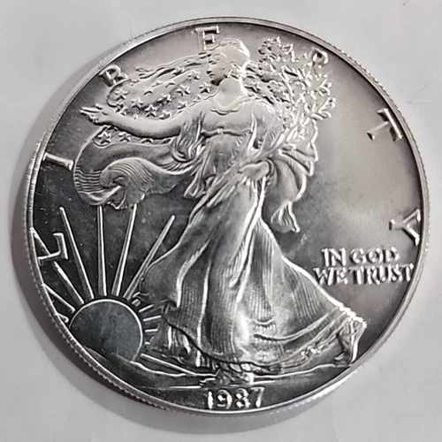 1987 American Silver Eagle Uncirculated 1oz .999 Fine Silver (F-2)