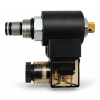 Magnetspule 24V DC Mit Senkventil FüR HebebüHne Ersatzteil
