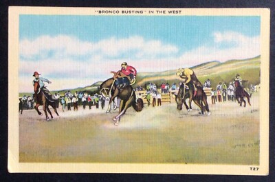 Western Postcard Cowboys Bronco Busting In The West #k1