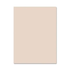 Pacon Tagboard Paper - 24" X 36" - Manila (PAC5126)