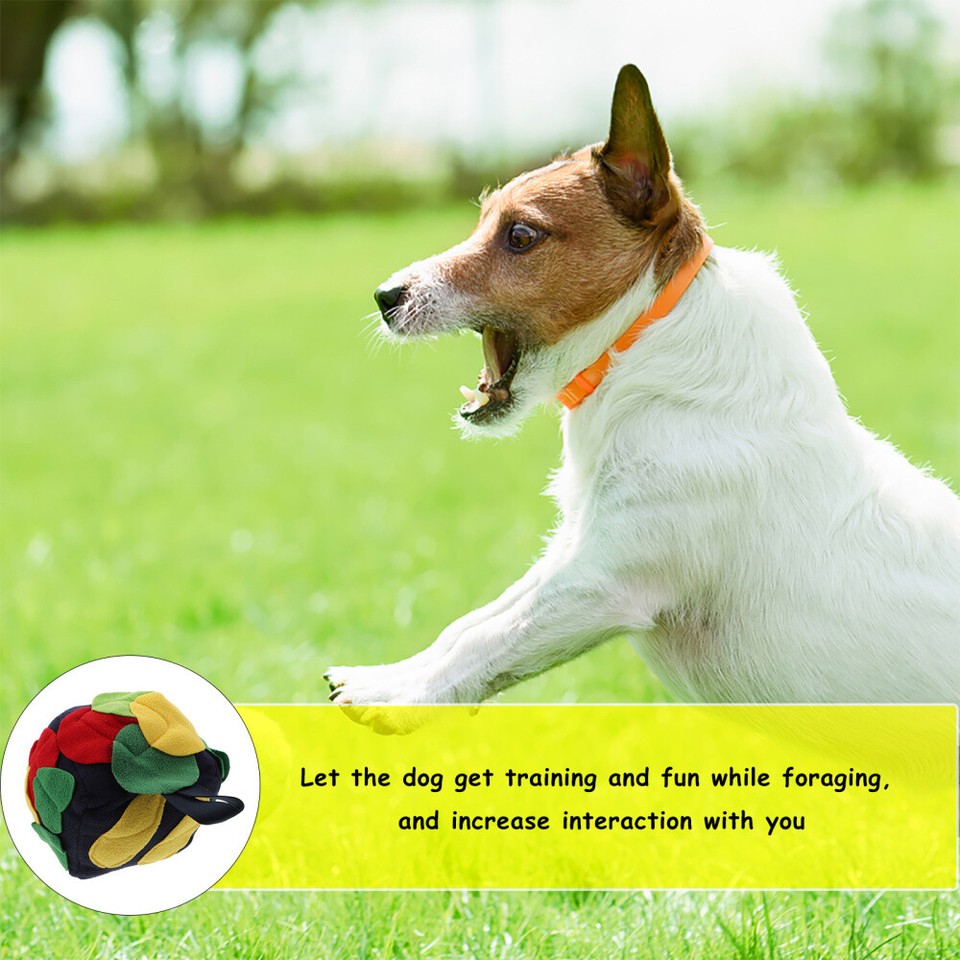 Treat Dispenser Mat Dog Teething Toys Dog Balls Large Dogs Small Dog