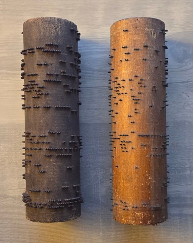 Vintage Organ Cobs – Antique Pump Organ Parts – Collectible Reed Organ Component