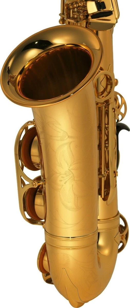 Habubu More than anything Agree with New YAMAHA ALTO Saxophone - YAS CUSTOM 875 EX in Gold Lacquer - Ships FREE | eBay Habubu More than anything Agree with New YAMAHA ALTO Saxophone - YAS CUSTOM 875 EX in Gold Lacquer - Ships FREE | eBay
