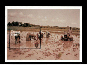 VINTAGE CLASSICS Gambia1996 Rice Development Souvenir Stamp sheet Scott 1855 MNH