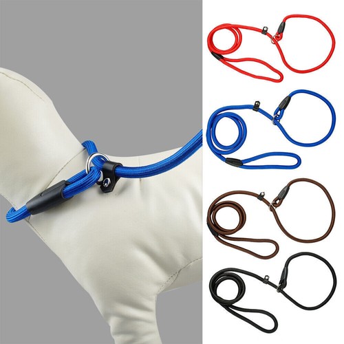 10pcs Dog Nylon Adjustable Loop Slip Rope Leash Lead Choke Training Pet Collar