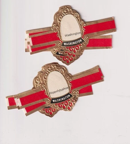 M.V. - WASHINGTON - HIPPOLYTUSHOEF