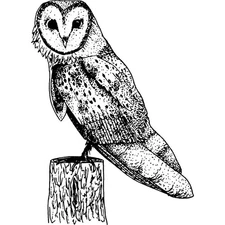 'Barn Owl' Unmounted Rubber Stamp (RS007318)