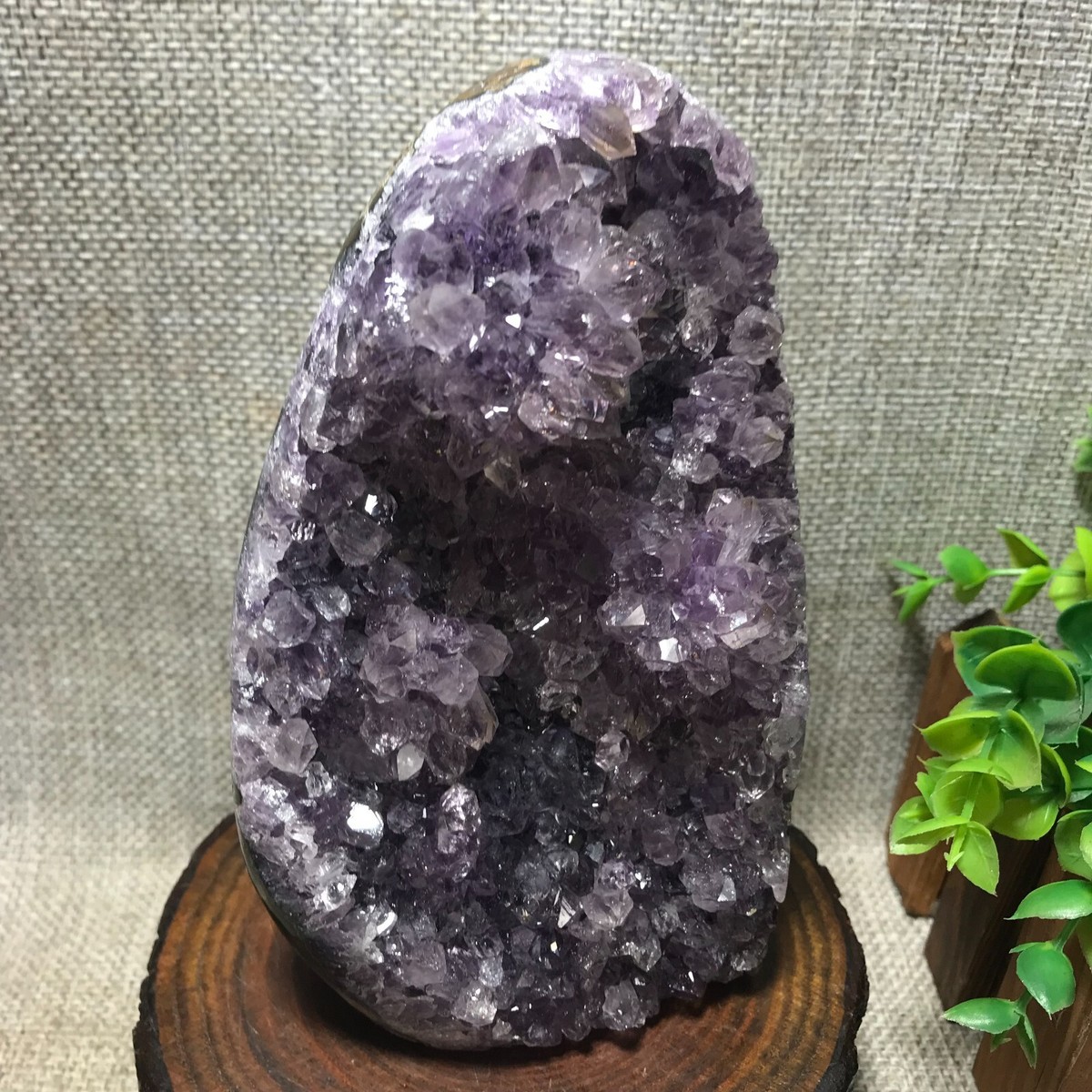 こたつ amethyst VitaJuwel Zodiac Crystal, CAPRICORN, Amethyst – Universal