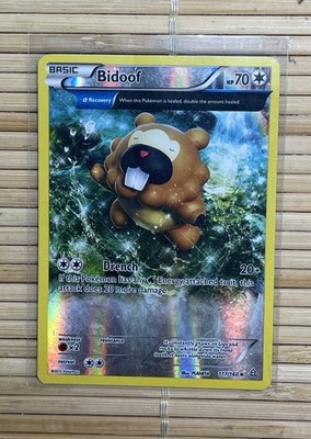 Bidoof Primal Clash 117/160