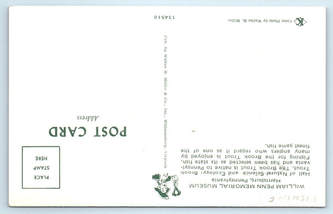 HARRISBURG, PA William Penn Memorial Museum BROOK TROUT Fishing 1960s