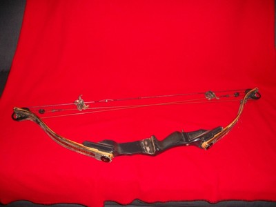 Golden Eagle Compound Bow Ebay