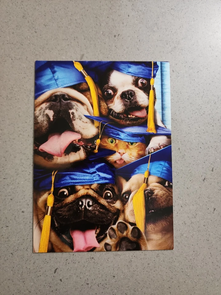 Tarjeta para ocasiones especiales para gatos y perros multiusos/cumpleaños/grado/retiro Avanti Press Foto 3 de 4