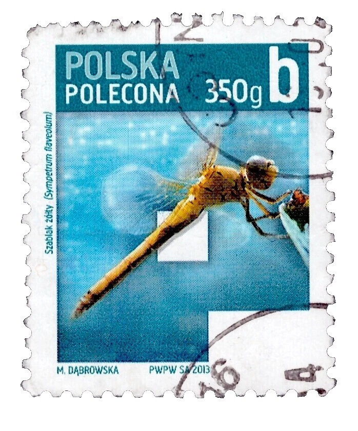 Estampillas postales de actualidad de Registro