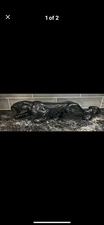 BLACK Panther Puma Cat Art Pottery MCM Figurine Sculpture Statue Royal Haeger