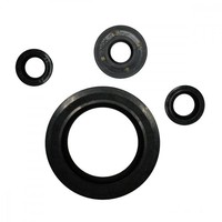 Wellendichtring Satz Athena P400250400034 FüR Kawasaki ER-6F 650 C Bj. 2009-2010