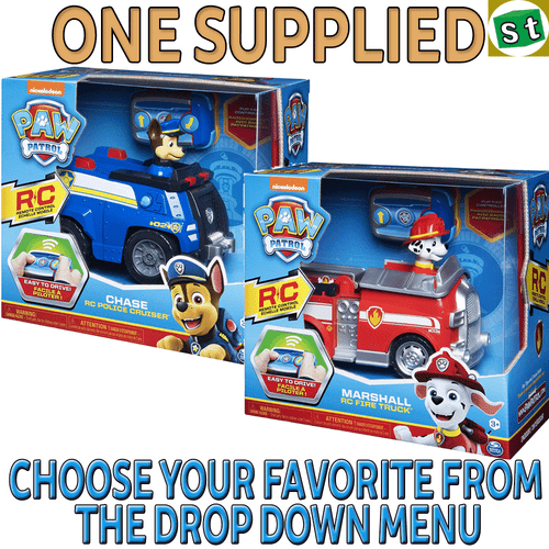 paw patrol remote control stores