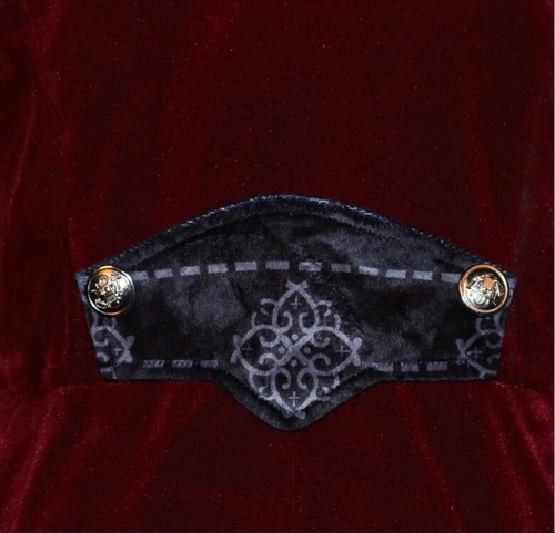 Mens Steampunk Victorian Jacket Tailcoat Costume Tuxedo Coat Halloween Costumes - Bild 19 von 25