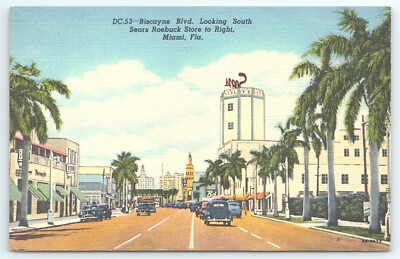 Postcard Biscayne Blvd Looking South Sears Roebuck Store to Right Miami Florida