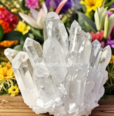 2025Rare 300G+Clear Quartz Crystal Geode Cluster Reiki Decor Art Manifestation