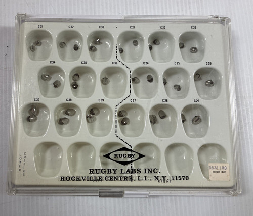 RUGBY LABS INC. Set of 35 LOWER CUSPID CROWNS in Case