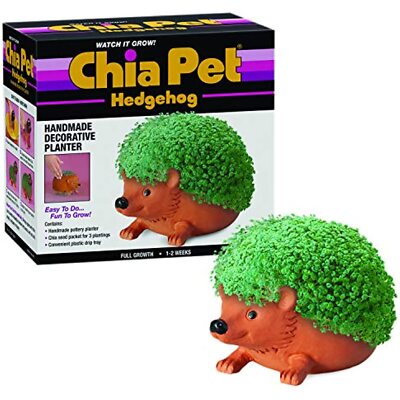 Chia CP438-01 Pet Hedgehog Seed Pack, Decorative Pottery Planter, Easy to Do and