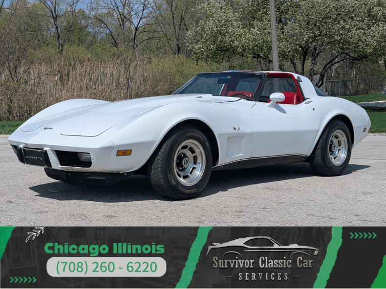1979 Chevrolet Corvette for sale in Homer Glen Illinois