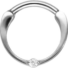 PIERCINGLINE  Piercing Ring Titan Segmentring...