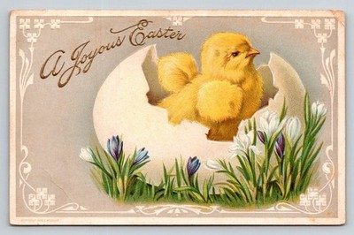 Vintage 1908 Easter Chick Hatching Egg Crocus Flowers Embossed Postcard