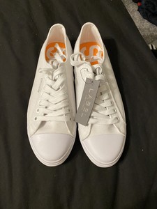 superdry canvas shoes mens