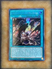 Yugioh Deception of the Sinful Spoils ROTA-EN055 Secret Rare 1st Ed NM
