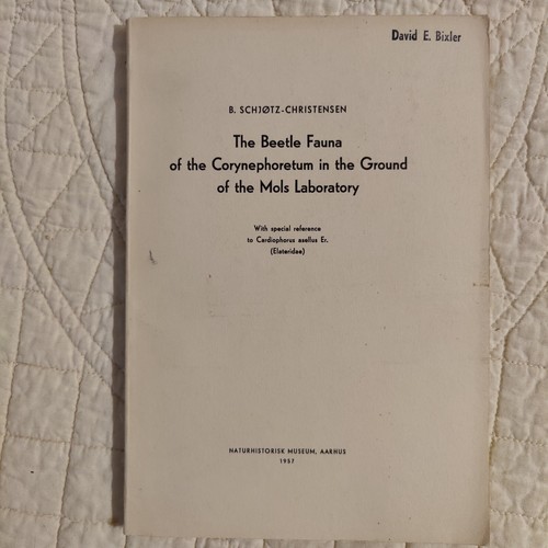 Rare 1957 Beetle Fauna of the Corynephoretum Naturhistoric Museum Aarhus - Bild 21 von 24