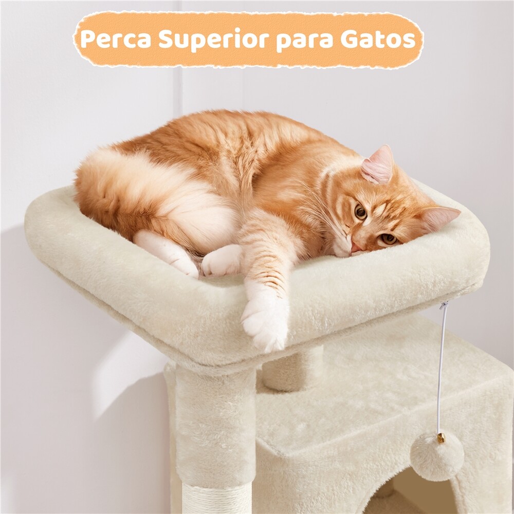 Imagen 24 de 29