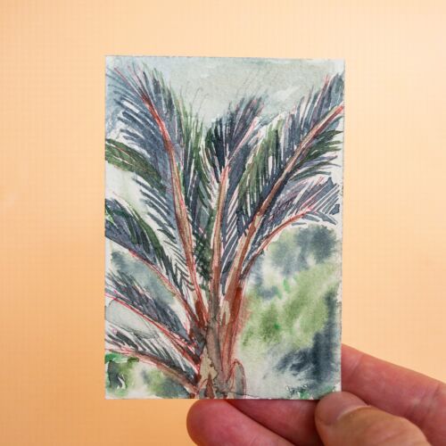 ACEO watercolor original of tropical landscape from Lisbon botanical garden - Picture 1 of 5