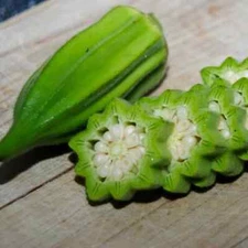 40 STAR OF DAVID OKRA SEEDS Non-GMO Heirloom | USA Seller Free Shipping