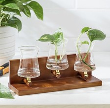 Better Homes  Gardens Propagation Station Wood Metal Glass Plants Growing Plant