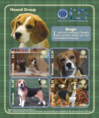Grenada 2009 AKC Dogs Beagle Hound Group 125th Anniversary