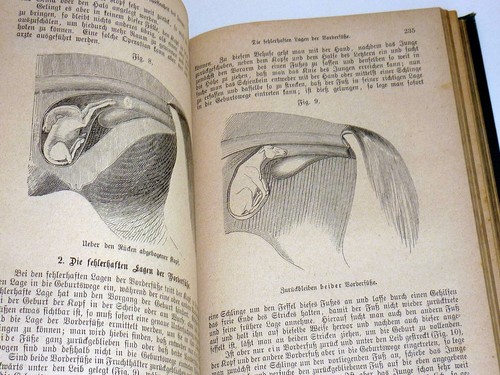 Wilhelm Zipperlen: The Illustrated Pet Veterinarian. Old 1885 Edition - Picture 3 of 6