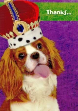 Designer Greetings Dog Wearing Crown Thank You Card