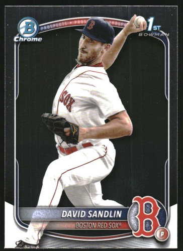 2025 David Sandlin #BCP-195
