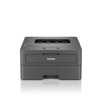 Brother HL-L2400DW Monolaserdrucker 64MB grau WLAN Toner USB 1200dpi LCD NEU