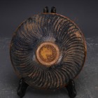 Foto 10 di 10