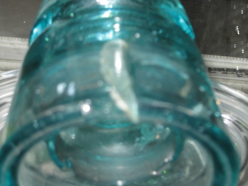 Aislante de vidrio azul agua Brookfield B Reverse 11 luces muchas burbujas incluidas - Imagen 7 de 11