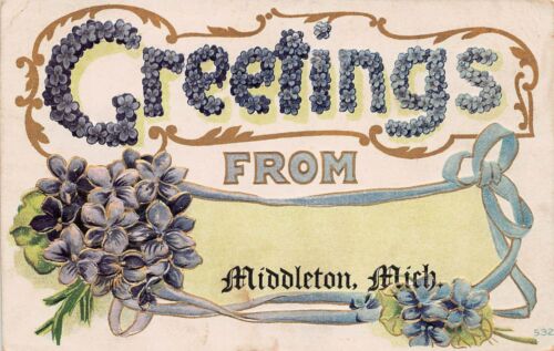 Middleton MI Michigan Gratiot County Floral Satin Bow Blue Vtg Postcard A3