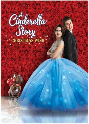 A Cinderella Story: Christmas Wish (DVD, 2019) W/ Slipcover NEW Free Shipping