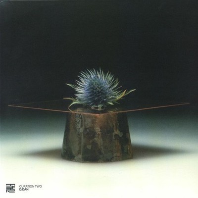 D DAN/RENE WISE/CONNOR WALL/SUNJU HARGUN/DJ MARIA - Curation Two: D Dan - 12''
