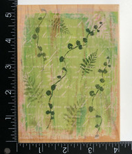 Hero Arts Fern Script Background Vines Plants S3617 Wood Mounted Rubber Stamp