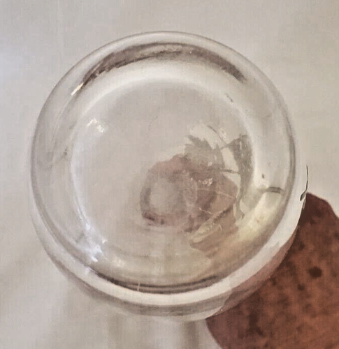 Vaso Bud Vetro Trasparente Argento Foglia Sovrapposizione 10” Shabby Chic Foglie Floreali - Foto 5 di 24