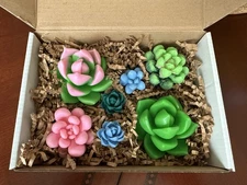7 Decorative Handmade Soaps- Succulent Set plus gifting box.  