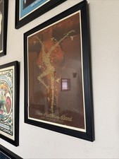 Very rare Dave Matthews Band Zilker Park Austin 2009 Signed And numbered 38/50